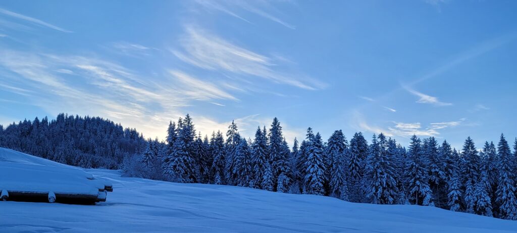 Morgendlicher Schwellengang